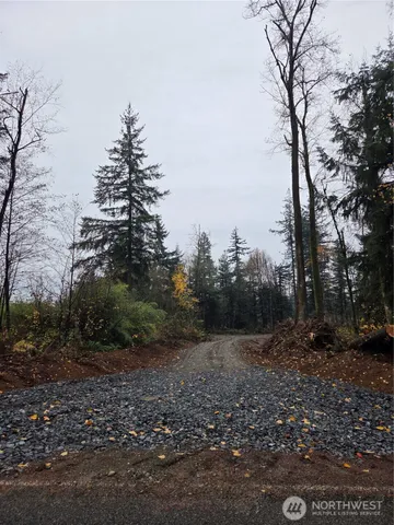 a view of outdoor space with trees