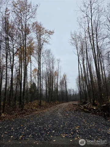 a view of outdoor space with lots of trees