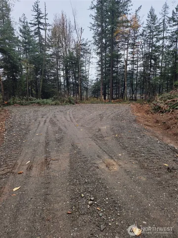 a view of outdoor space with trees