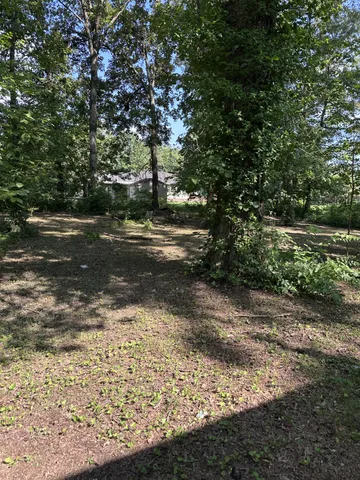 a view of a yard with plants and trees