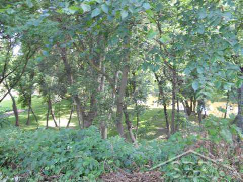 9019 Van Cleve Road Vassar, MI 48768 - Photo 4 of 15 20035083-3.JPG