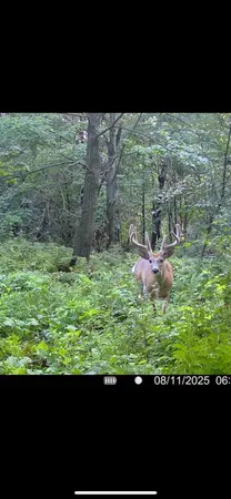 $325,000 | 52 Fountain Mn 55935, Fountain, MN 55935