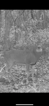 $325,000 | 52 Fountain Mn 55935, Fountain, MN 55935