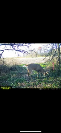 $325,000 | 52 Fountain Mn 55935, Fountain, MN 55935