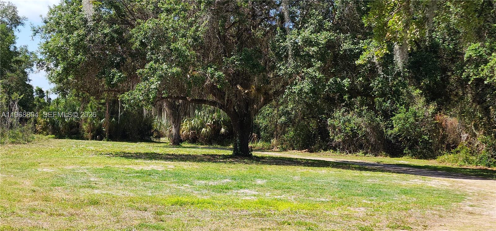 1209 County Road LaBelle, FL 33935 - Photo 2 of 40 a view of outdoor space with trees