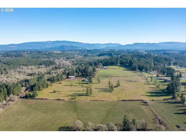 a view of back yard of the house