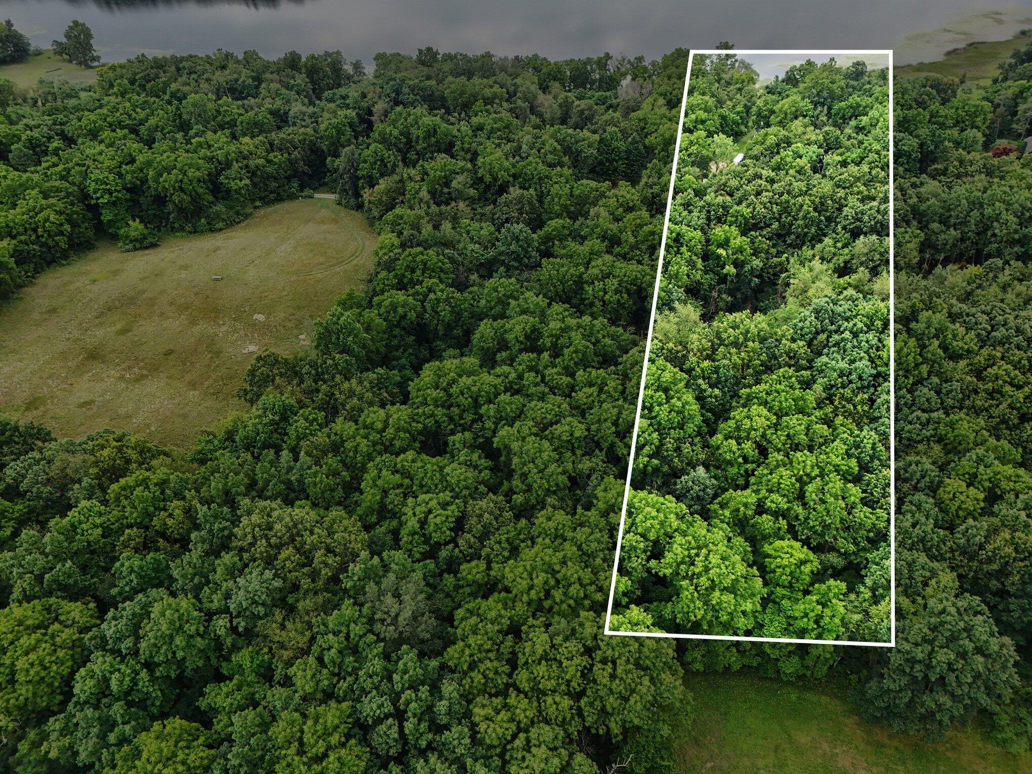 12884 Sharon Hollow Road Manchester, MI 48158 - Photo 6 of 55 035_file_4223
