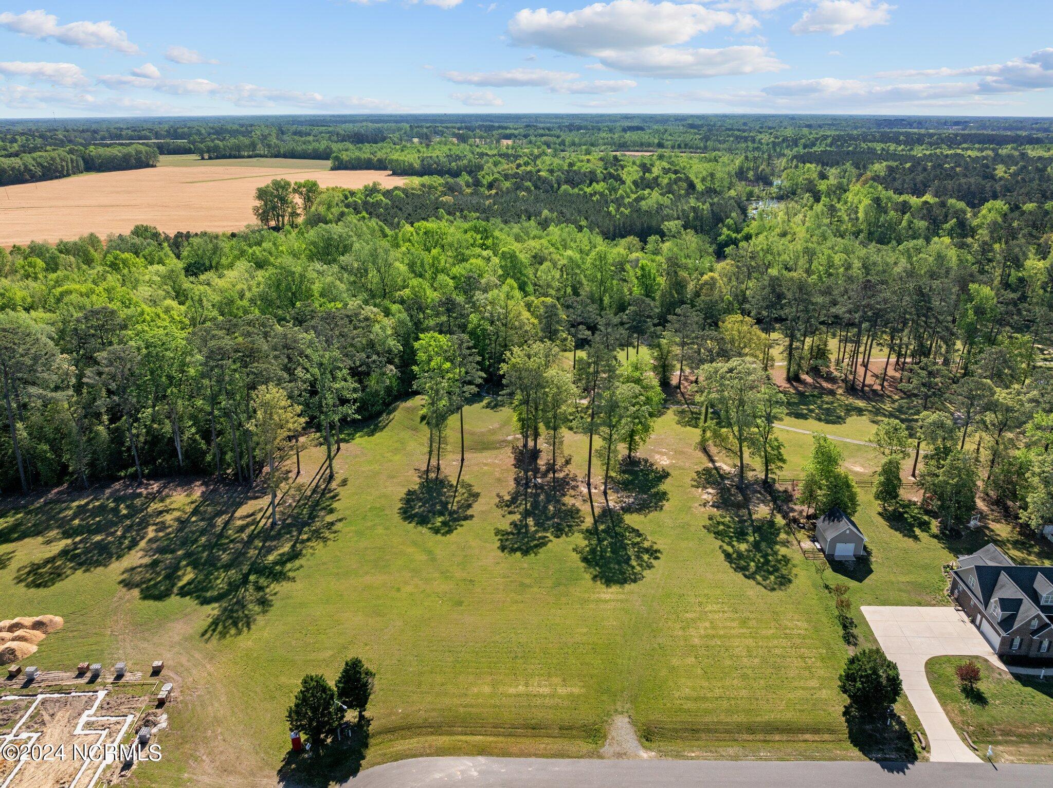 302 Golf Course Drive Pinetops, NC 27864 - Photo 4 of 34 3-web-or-mls-DJI_0948