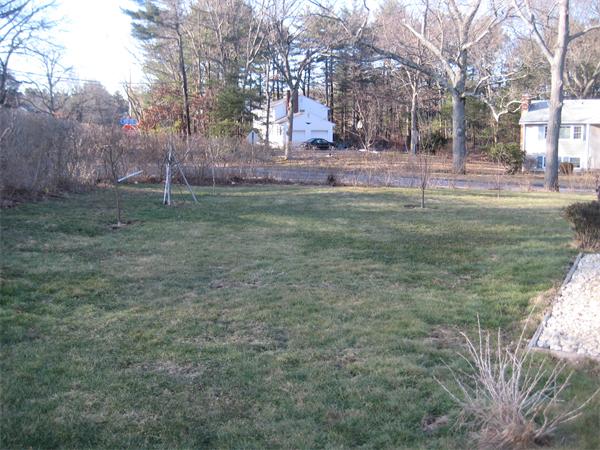 7 Pilgrim Way Walpole, MA 02032 - Photo 14 of 17 a backyard of apartments with large trees