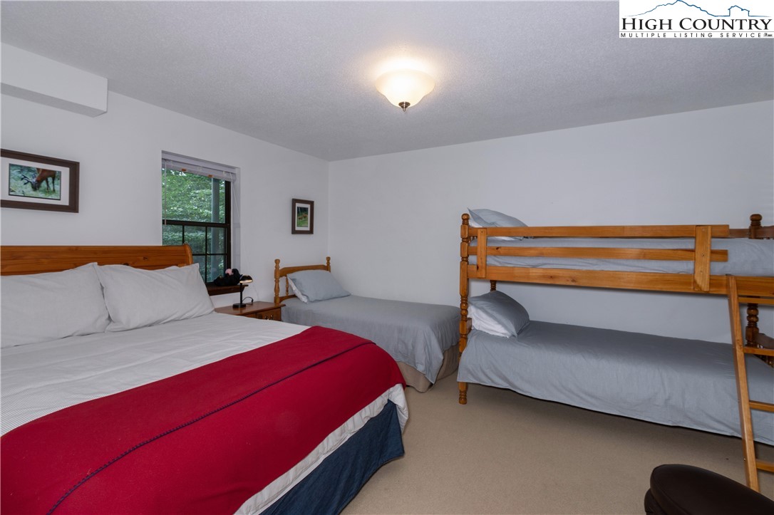 119 Lower Grouse Ridge Road Beech Mountain, NC 28604 - Photo 24 of 49 Gallery Image 24