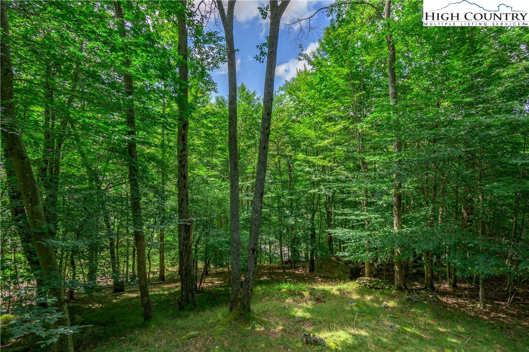 119 Lower Grouse Ridge Road Beech Mountain, NC 28604 - Photo 29 of 49 Gallery Image 29
