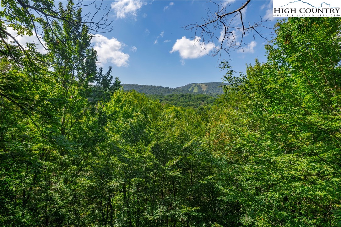 119 Lower Grouse Ridge Road Beech Mountain, NC 28604 - Photo 34 of 49 Gallery Image 34