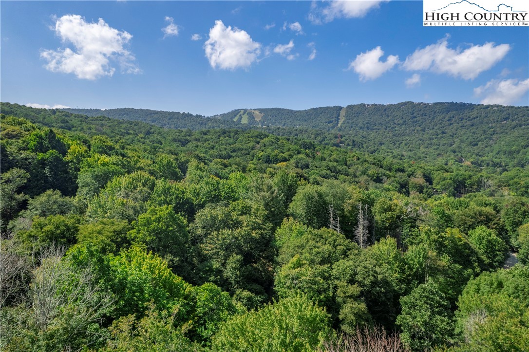 119 Lower Grouse Ridge Road Beech Mountain, NC 28604 - Photo 35 of 49 Gallery Image 35