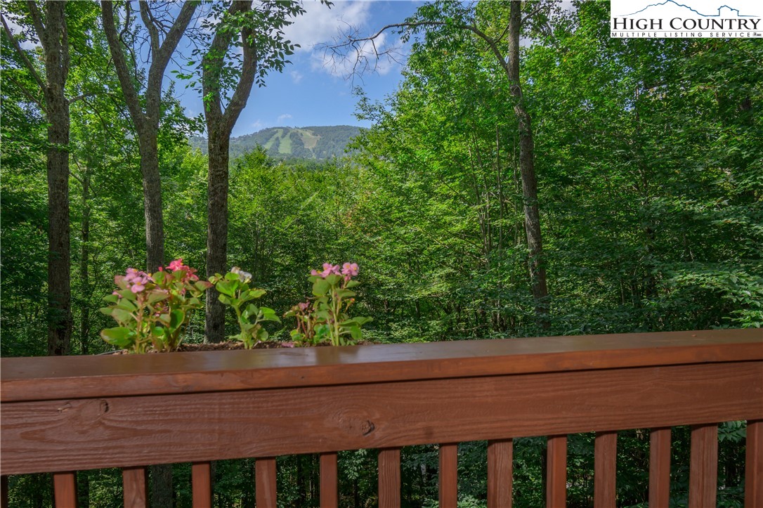 119 Lower Grouse Ridge Road Beech Mountain, NC 28604 - Photo 7 of 49 Gallery Image 7
