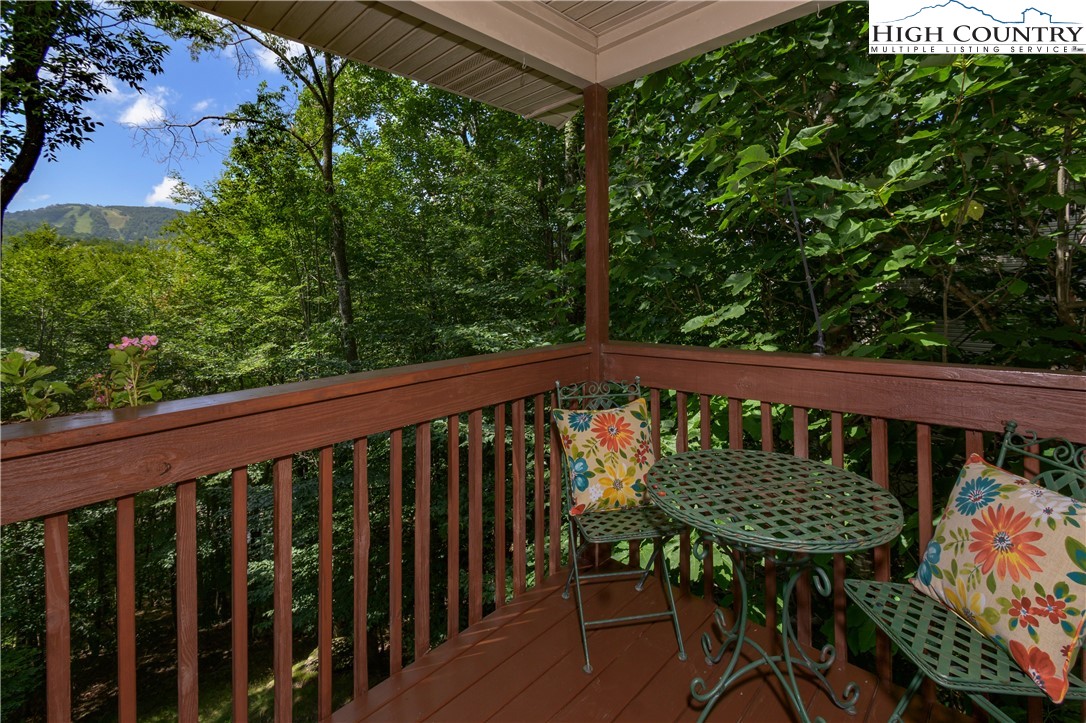 119 Lower Grouse Ridge Road Beech Mountain, NC 28604 - Photo 8 of 49 Gallery Image 8