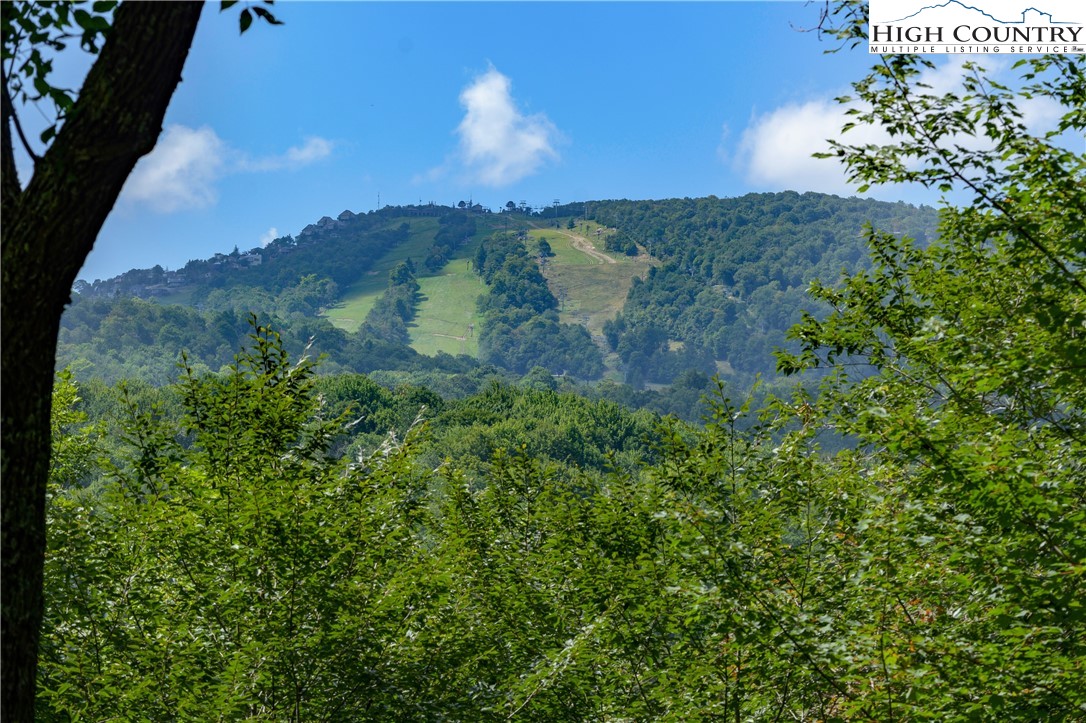 119 Lower Grouse Ridge Road Beech Mountain, NC 28604 - Photo 9 of 49 Gallery Image 9