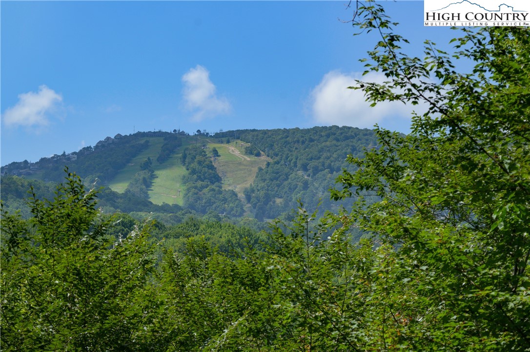 119 Lower Grouse Ridge Road Beech Mountain, NC 28604 - Photo 10 of 49 Gallery Image 10