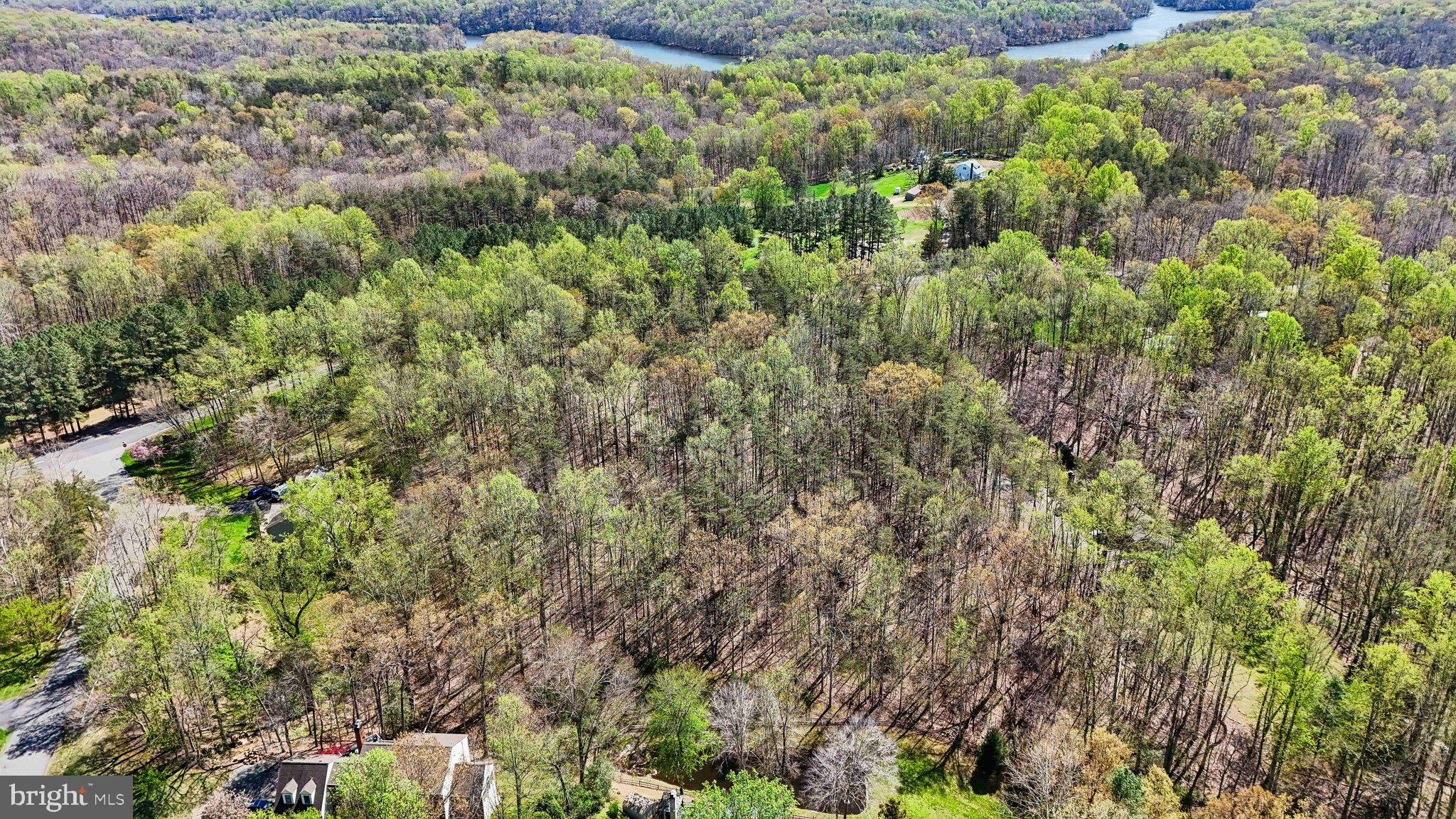 11920 Henderson Road Clifton, VA 20124 - Photo 8 of 10