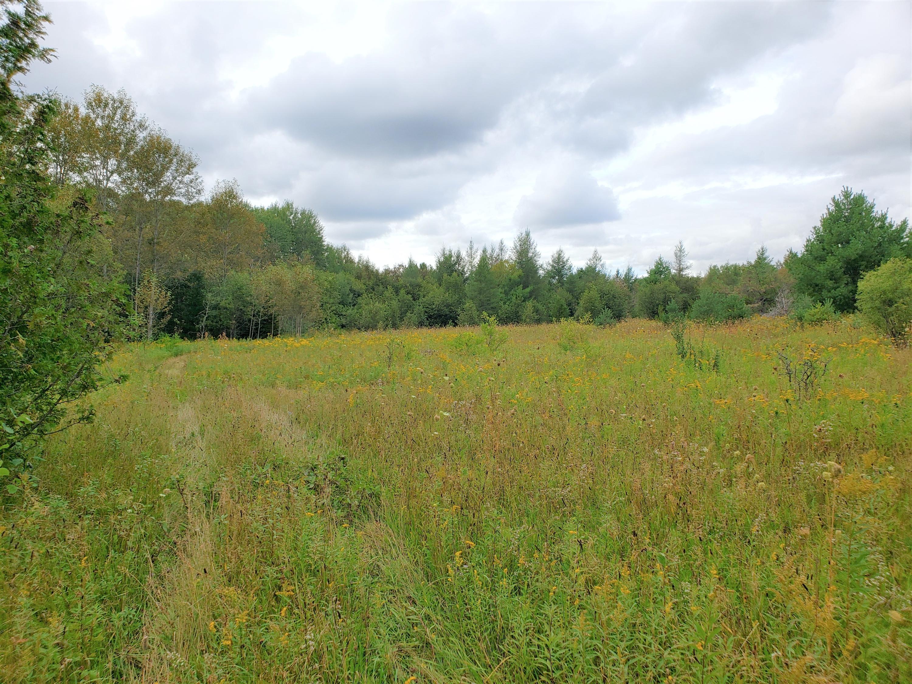 13297 Hebron Mail Route Cheboygan, MI 49721 - Photo 9 of 18 Gallery Image 9