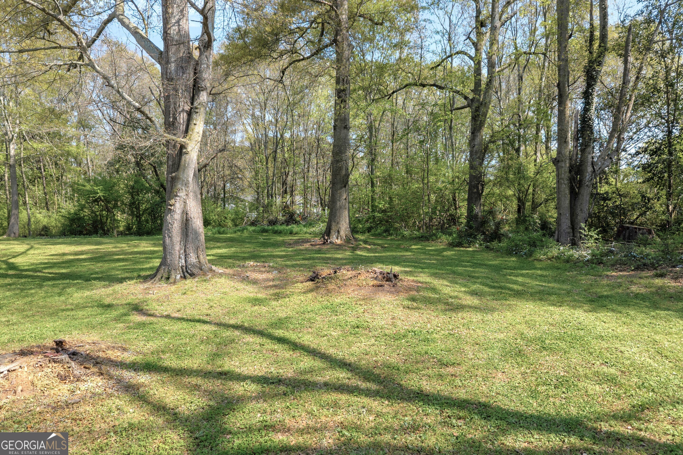 100 Broad Street Bowman, GA 30624 - Photo 57 of 65 a backyard of a house with lots of green space