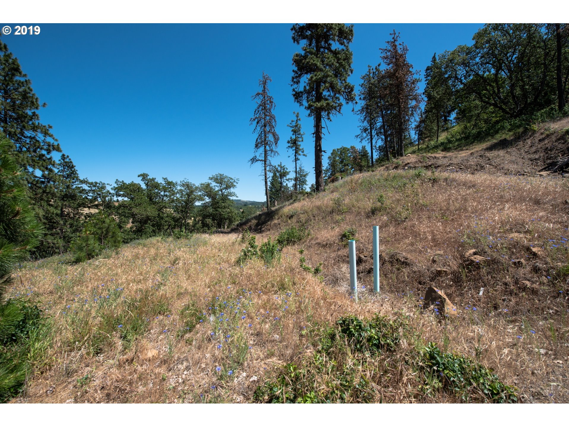 350 Maya Way Mosier, OR 97040 - Photo 10 of 17 Gallery Image 10