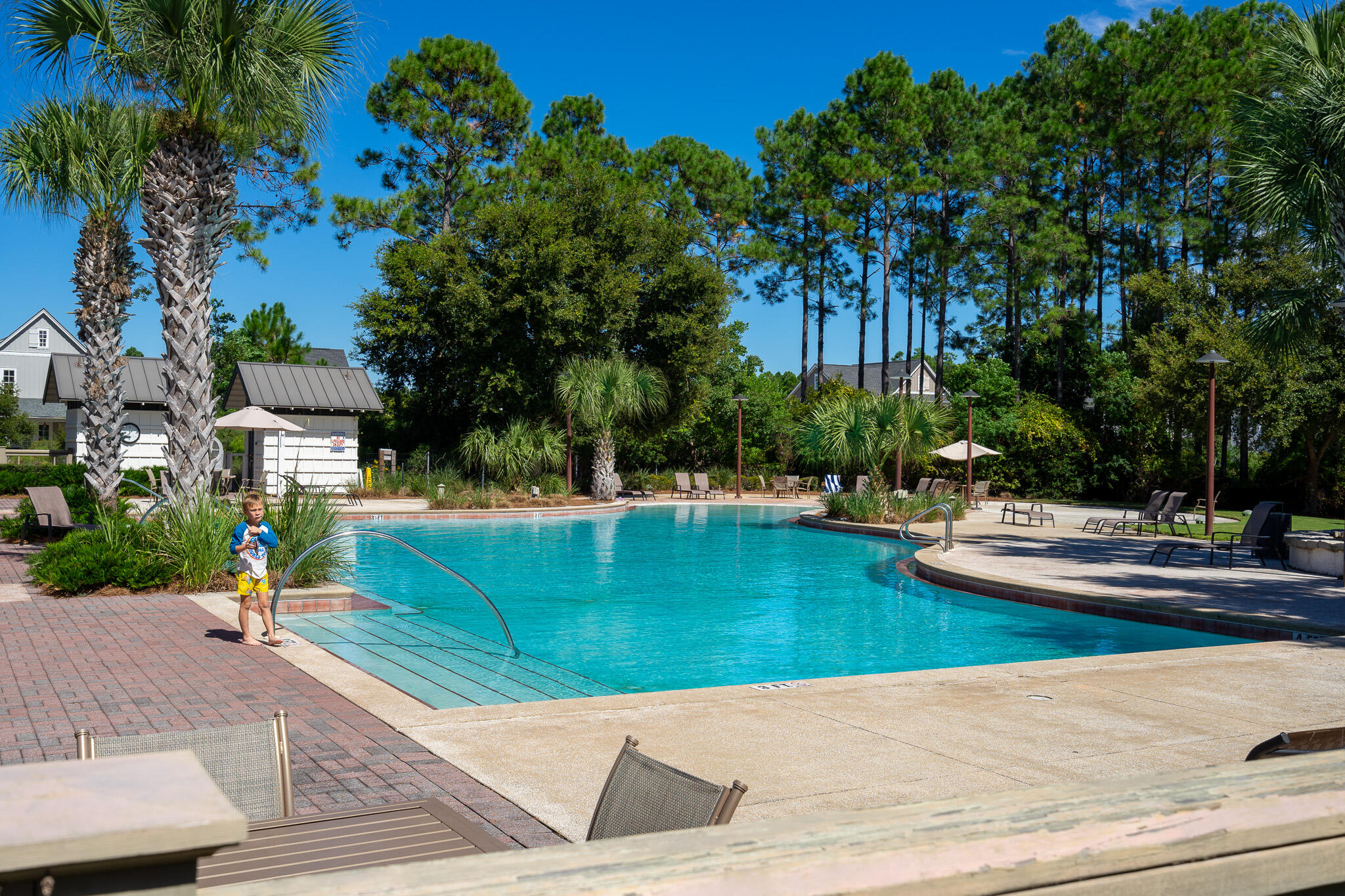 75 Conifer Ct Inlet Beach Inlet Beach, FL 32461 - Photo 58 of 74 a view of a swimming pool with a patio