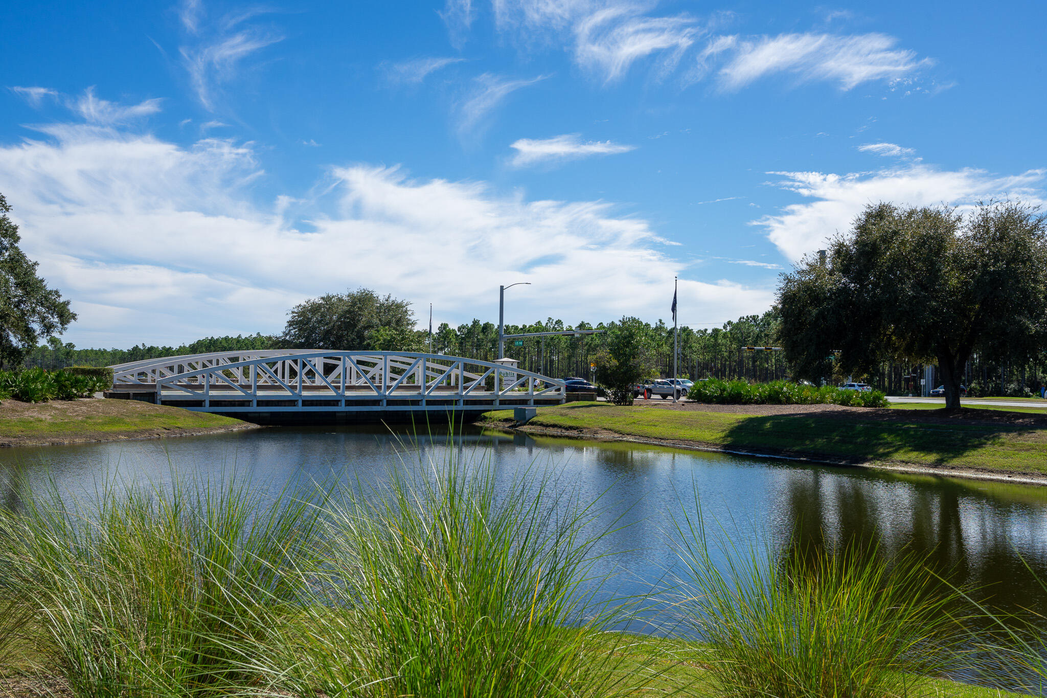 75 Conifer Ct Inlet Beach Inlet Beach, FL 32461 - Photo 61 of 74 a view of a lake with houses in the back