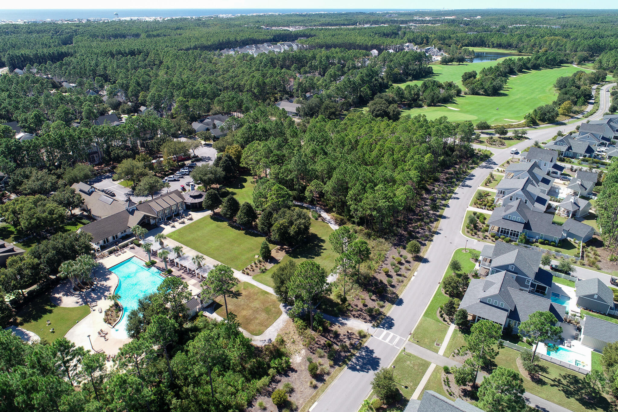 75 Conifer Ct Inlet Beach Inlet Beach, FL 32461 - Photo 70 of 74 an aerial view of residential houses with outdoor space and trees