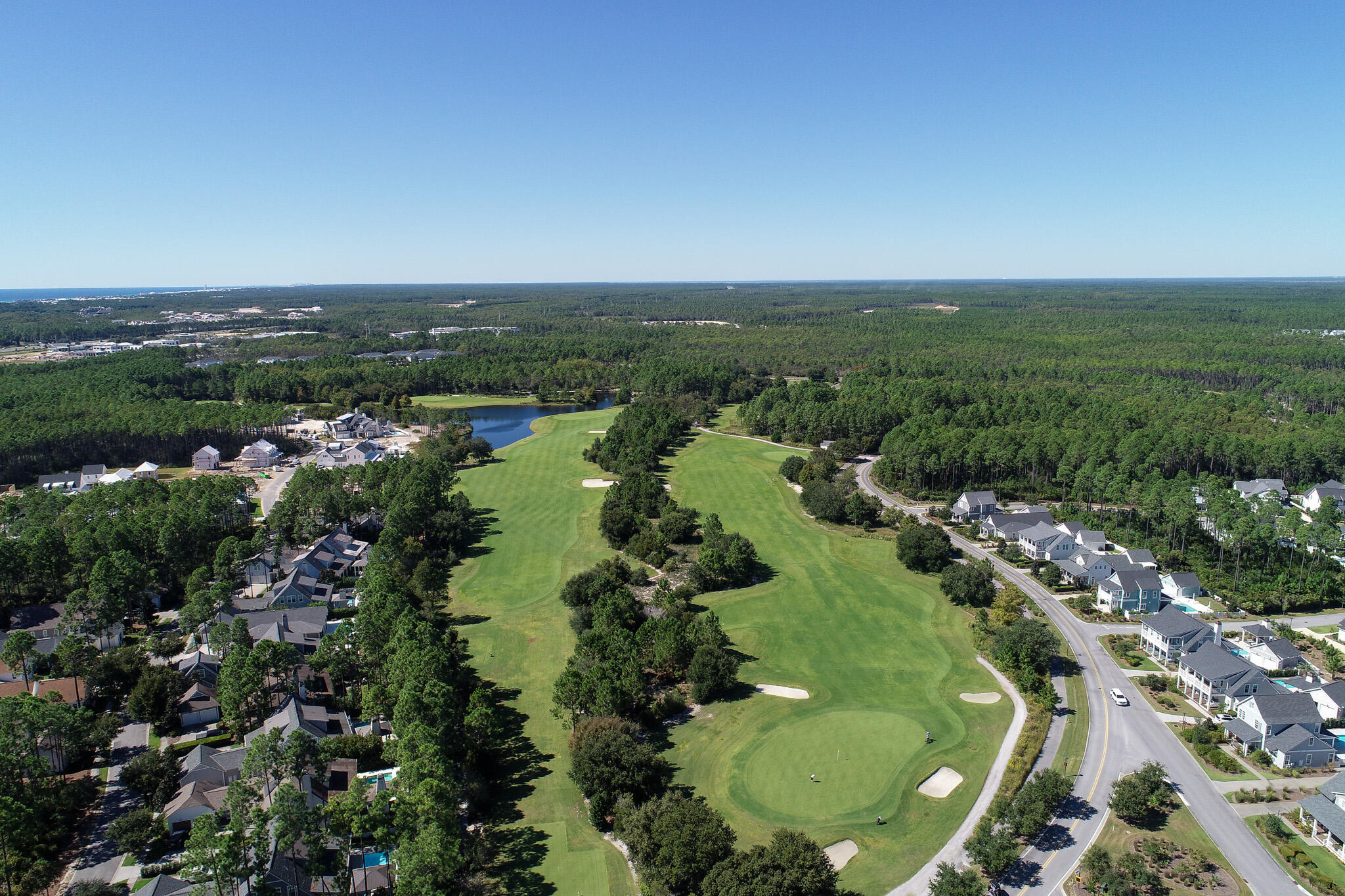 75 Conifer Ct Inlet Beach Inlet Beach, FL 32461 - Photo 71 of 74 an aerial view of lake residential houses with outdoor space and trees