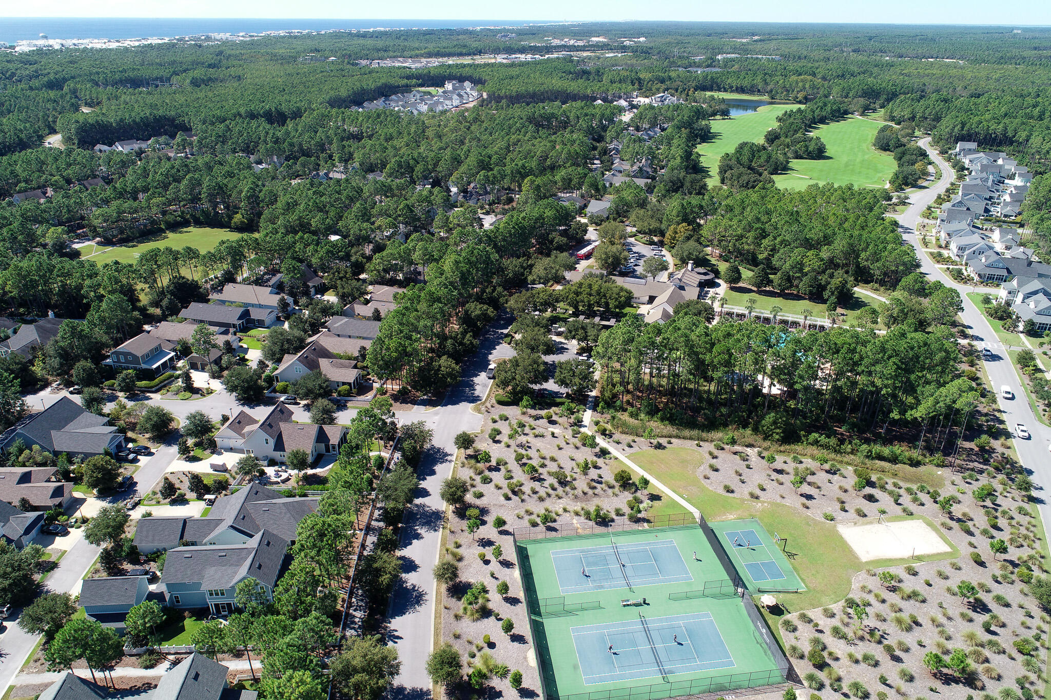 75 Conifer Ct Inlet Beach Inlet Beach, FL 32461 - Photo 73 of 74 DJI_0862