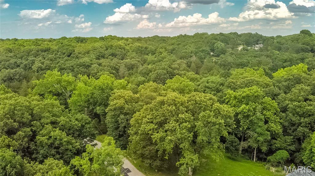 0 Watson Road Festus, MO 63028 - Photo 14 of 17