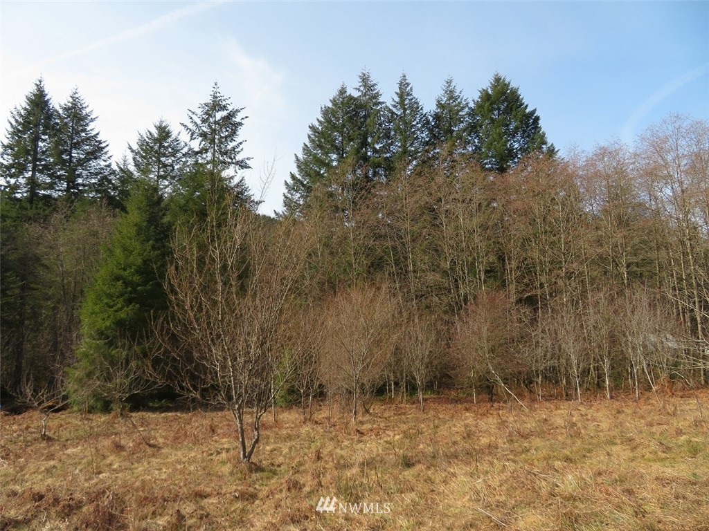 1 Coal Creek Road Longview, WA 98632 - Photo 22 of 24 Gallery Image 22