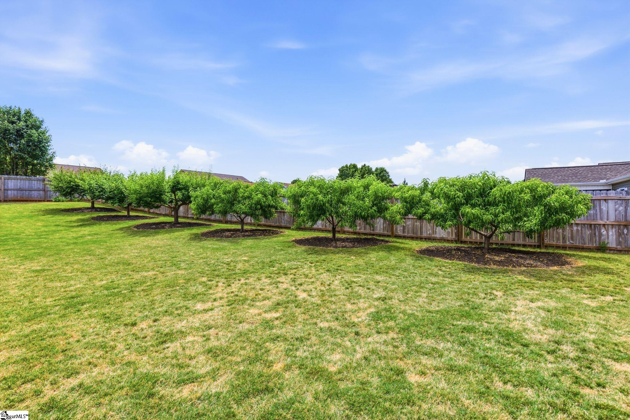 175 Butler Road Lyman, SC 29365 - Photo 43 of 45