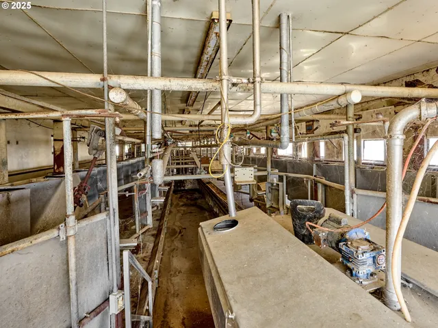 a room with lots of chandelier and white walls