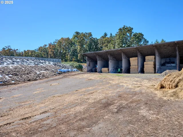 a view of a room with wooden walls