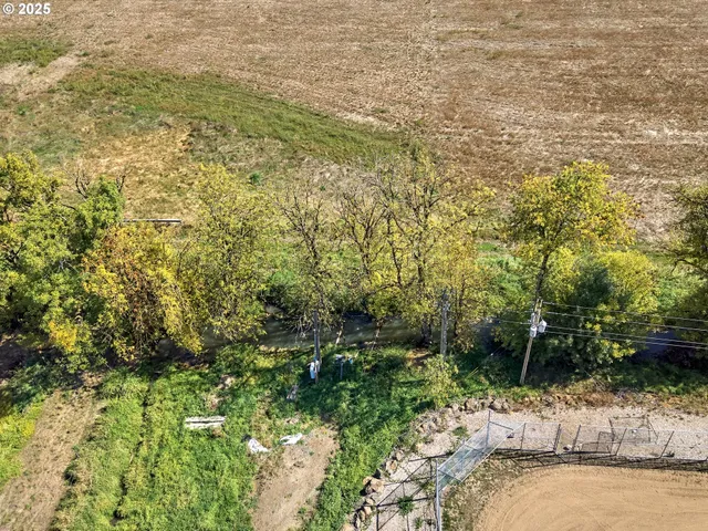 a front view of house with yard and trees around