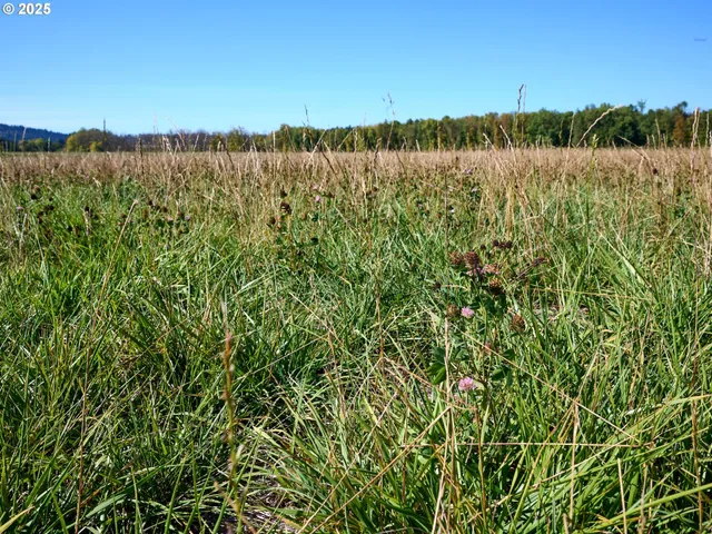 a view of lake with mountain