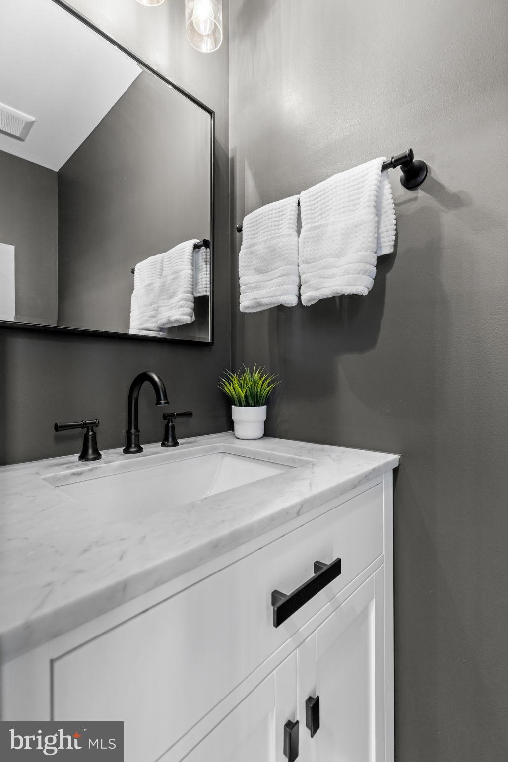 6223 Walkers Croft Way Alexandria, VA 22315 - Photo 6 of 38 a close view of sink and tap