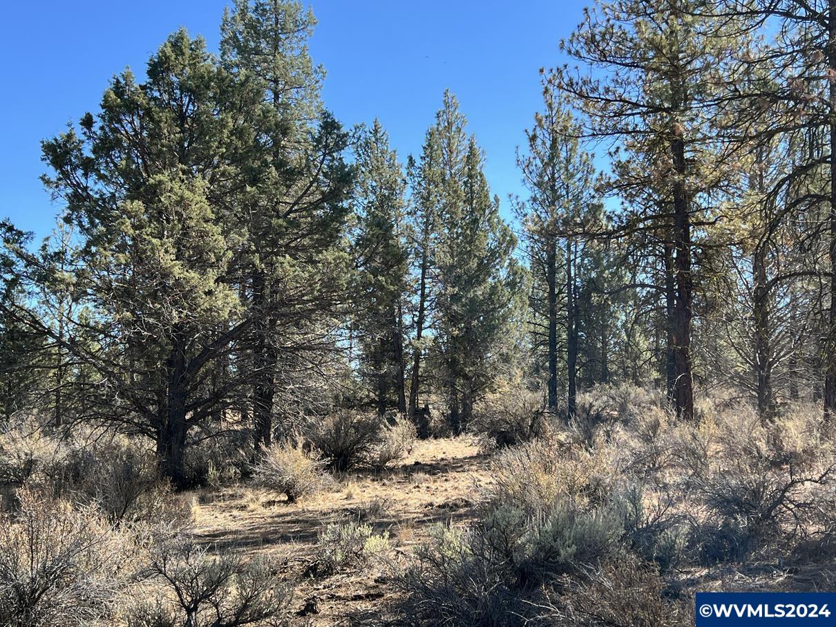 600 Oregon Pines Road Chiloquin, OR 97624 - Photo 1 of 49