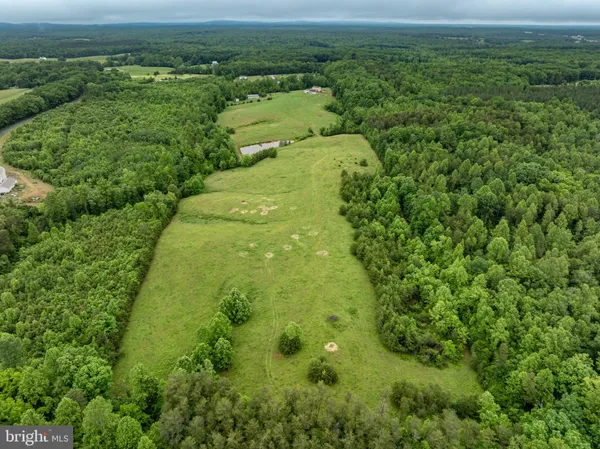 a view of a lush green forest with lots of trees