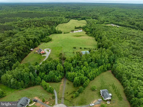 a view of a green yard with large trees
