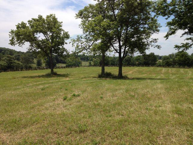2021 Boonedale Road Versailles, KY 40383 - Photo 1 of 1 Photo 1
