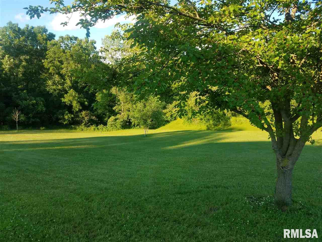 715 East Santa Fe Road Chillicothe, IL 61523 - Photo 5 of 16 Gallery Image 5