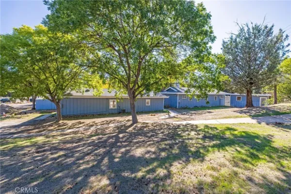 a view of a yard with plants and trees beside of it