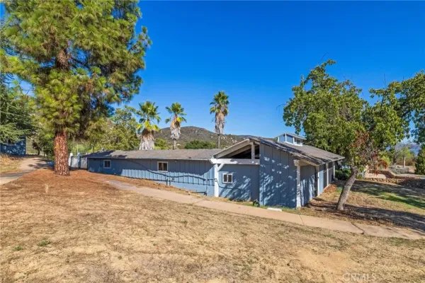 a view of a white house with a large tree in front of it