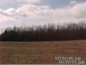 0 Lowell Road Verona, NY 13478 - Photo 1 of 1 Gallery Image 1