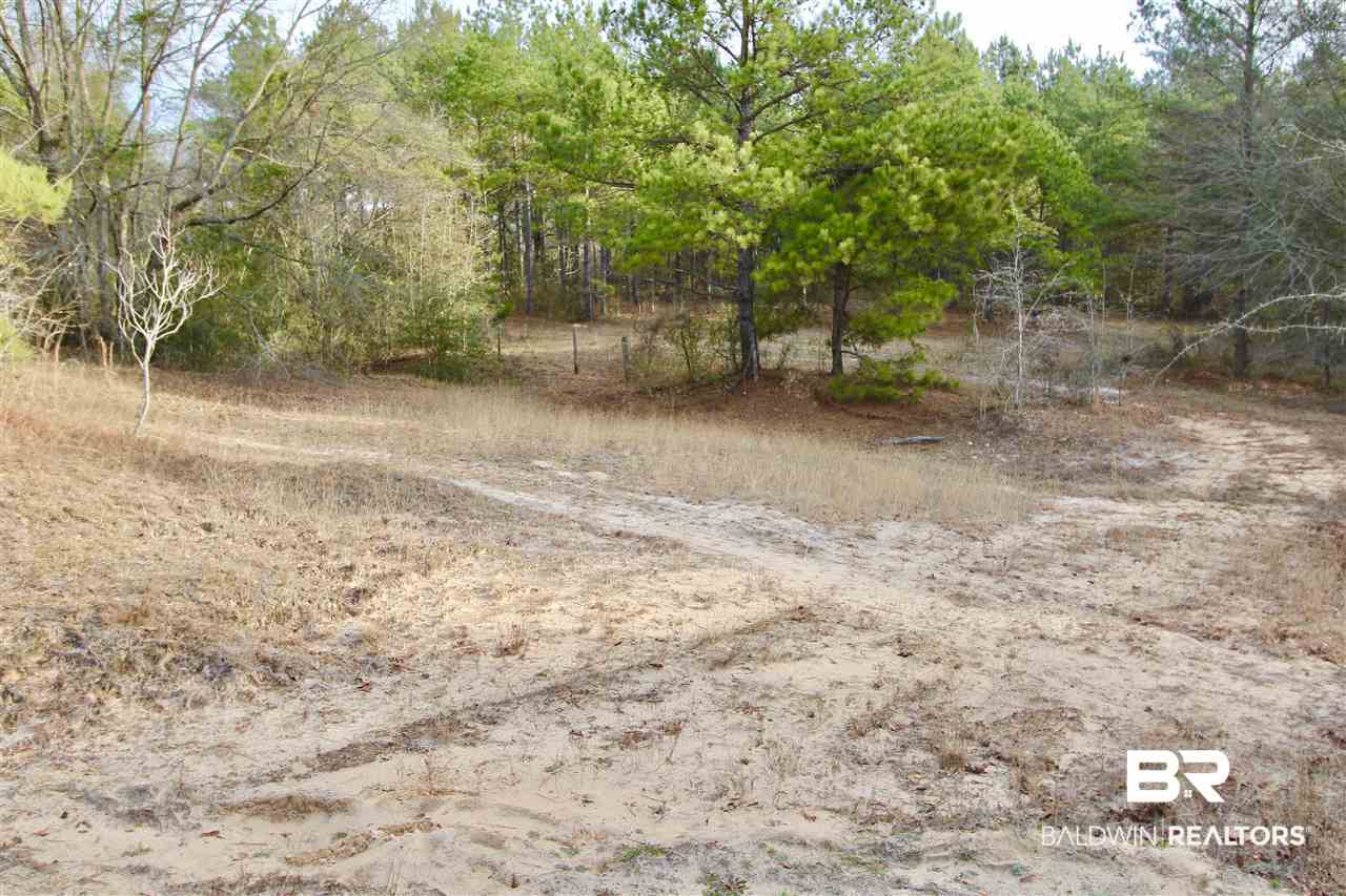 0 Sexton Brg Road Luverne, AL 36049 - Photo 16 of 50
