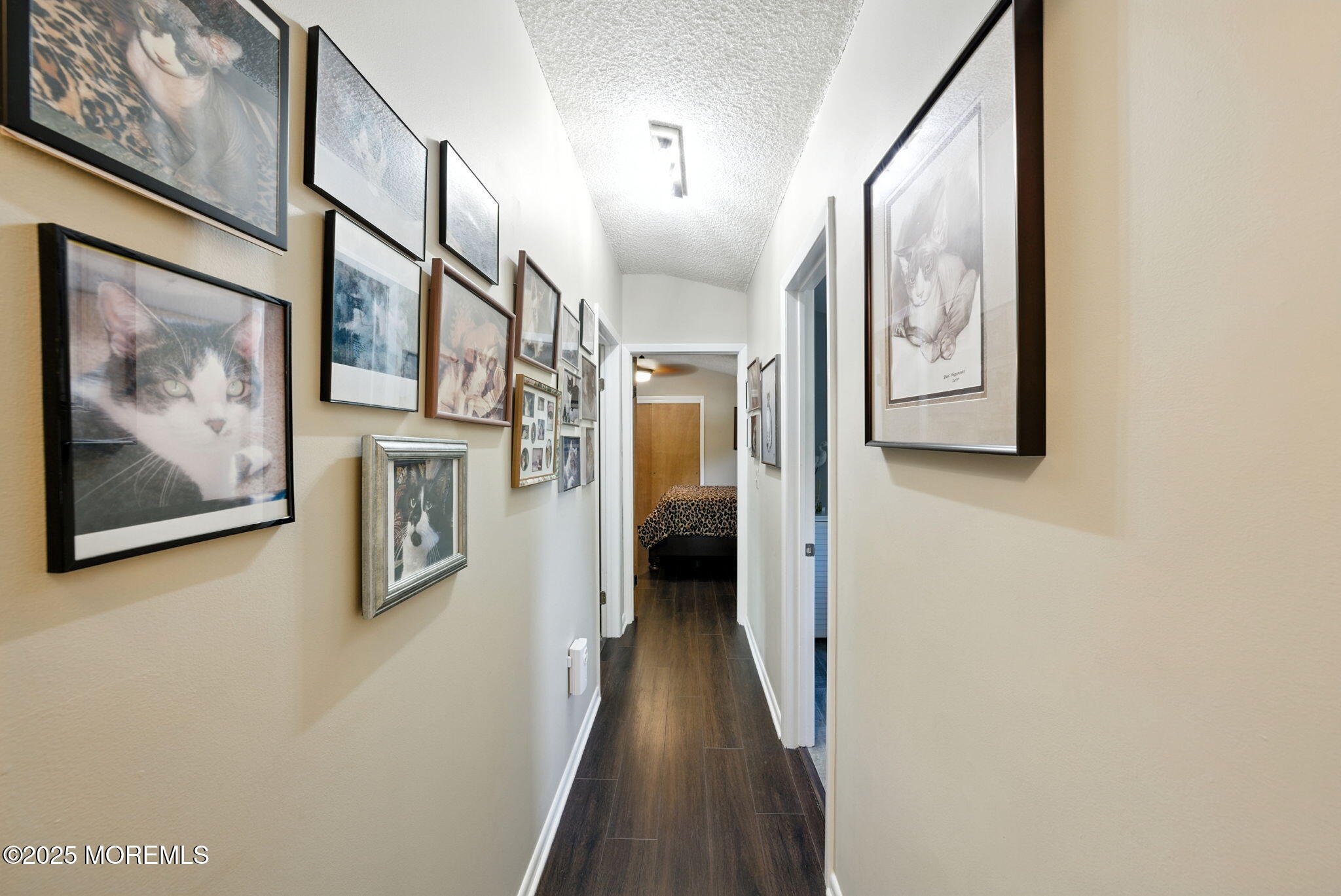 511 Burlington Road Freehold, NJ 07728 - Photo 24 of 44 Level 2 Hallway