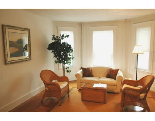 17 Locust Terrace, Unit 2 Cambridge, MA 02138 - Photo 2 of 8 a living room with furniture and a potted plant