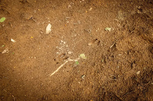 $160,000 | Ison Road, Crandon, WI 54520